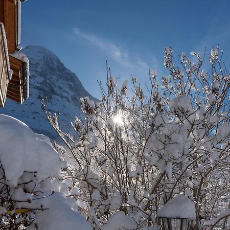 Chalet Alia And Apartments-Grindelwald By Swiss Hotel Apartments Luaran gambar
