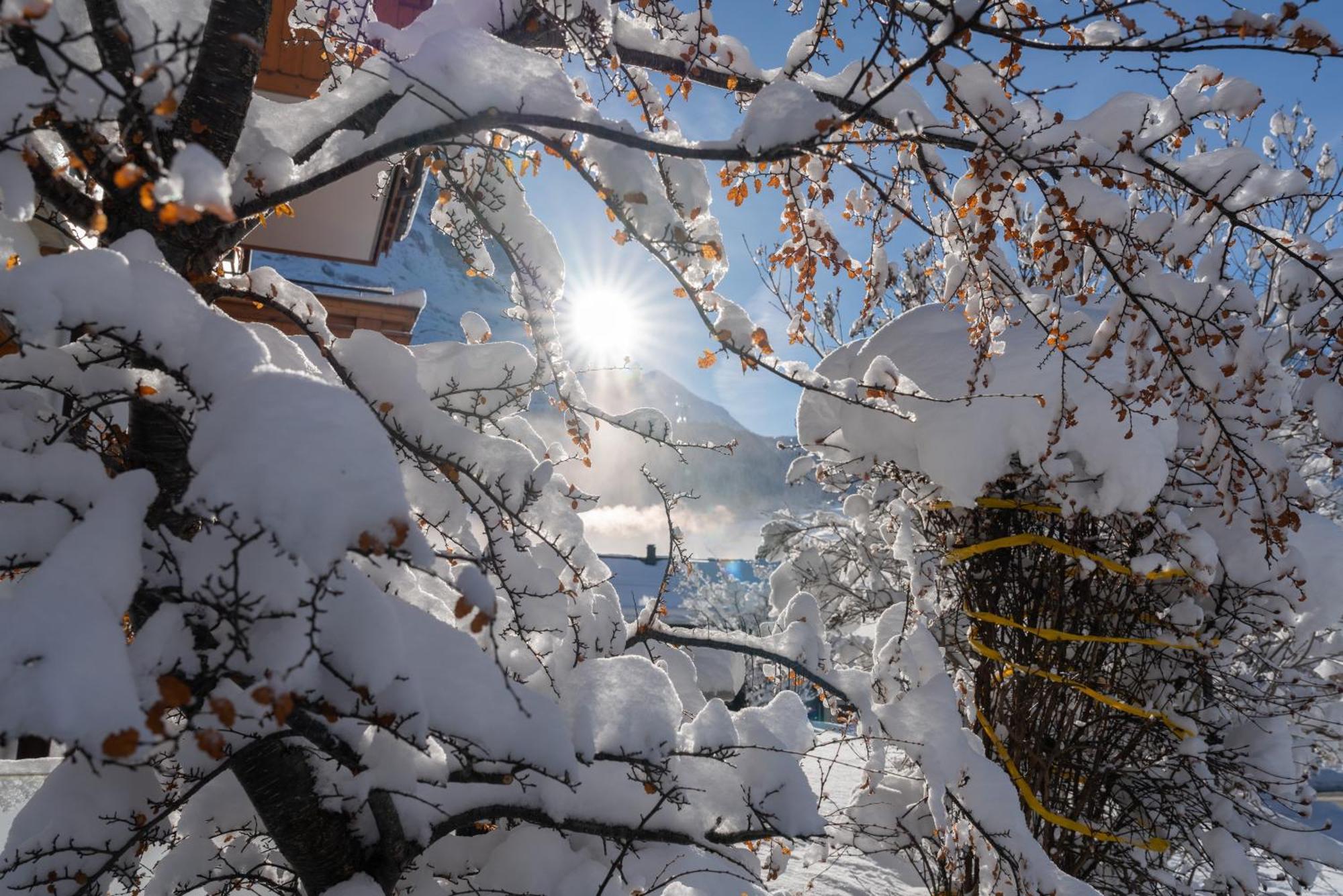Chalet Alia And Apartments-Grindelwald By Swiss Hotel Apartments Luaran gambar