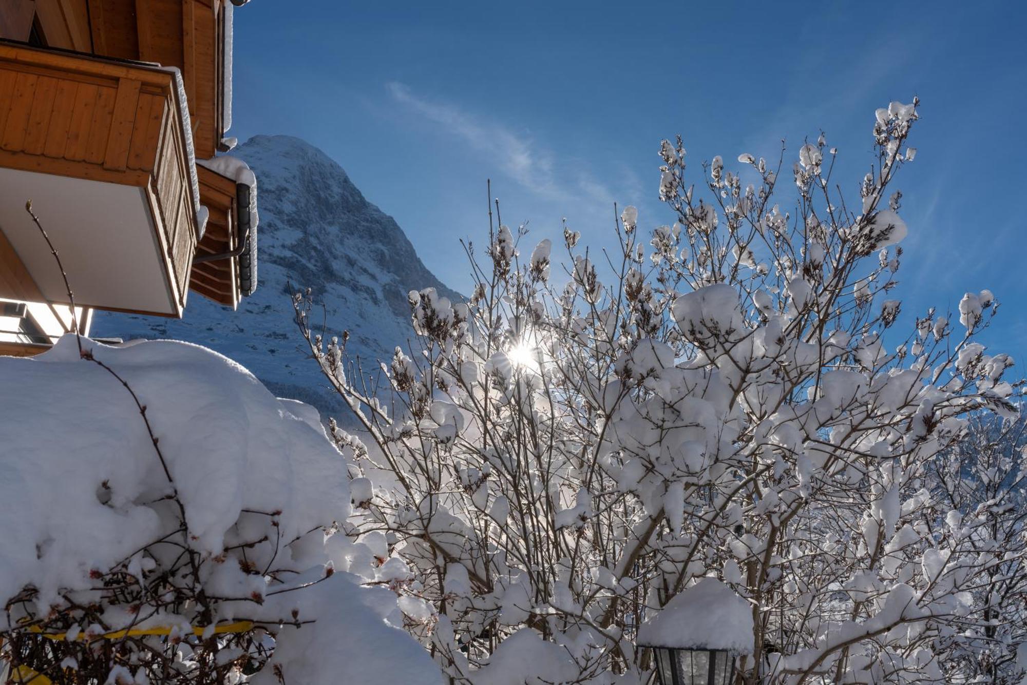 Chalet Alia And Apartments-Grindelwald By Swiss Hotel Apartments Luaran gambar