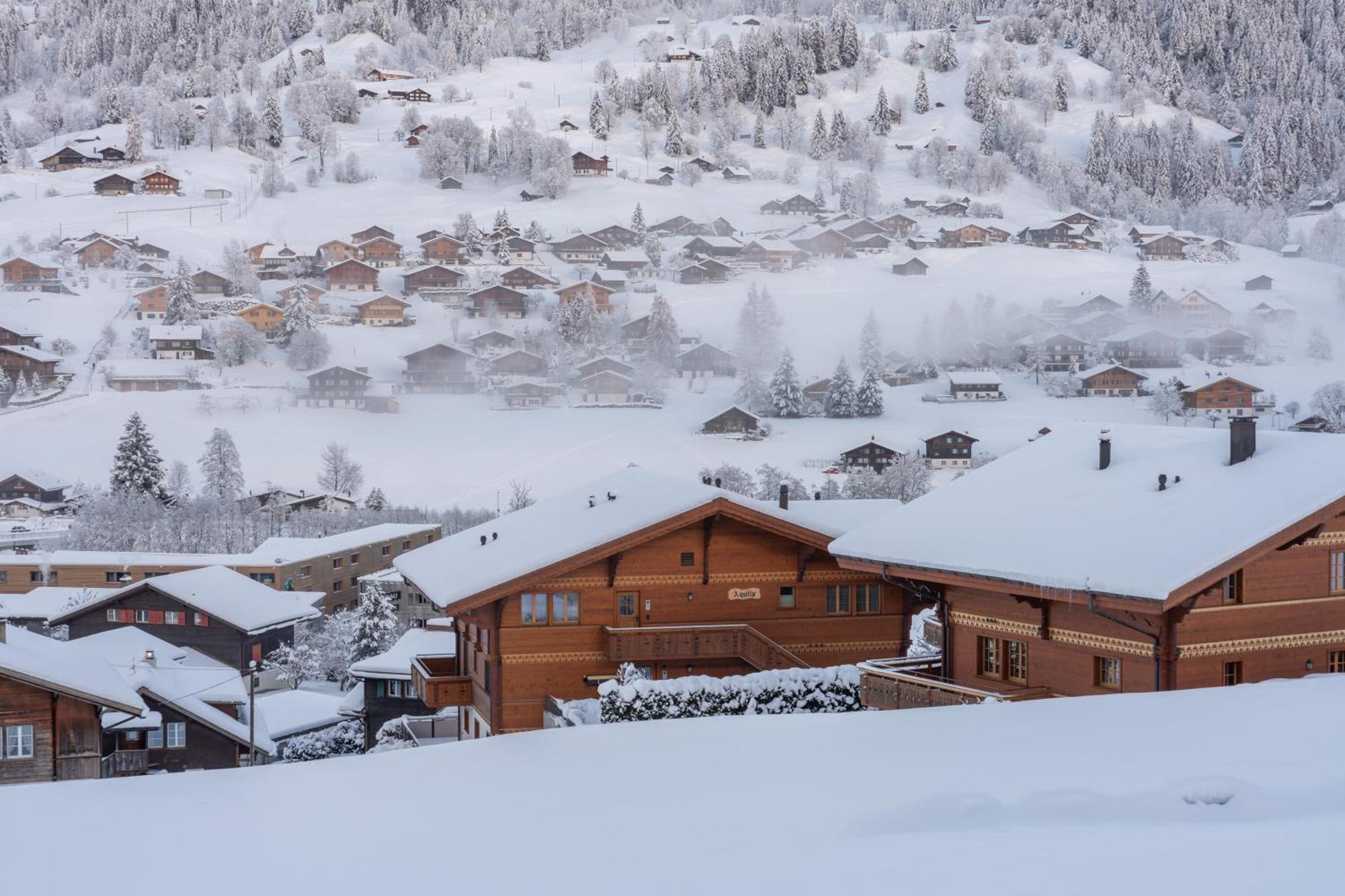 Chalet Alia And Apartments-Grindelwald By Swiss Hotel Apartments Luaran gambar