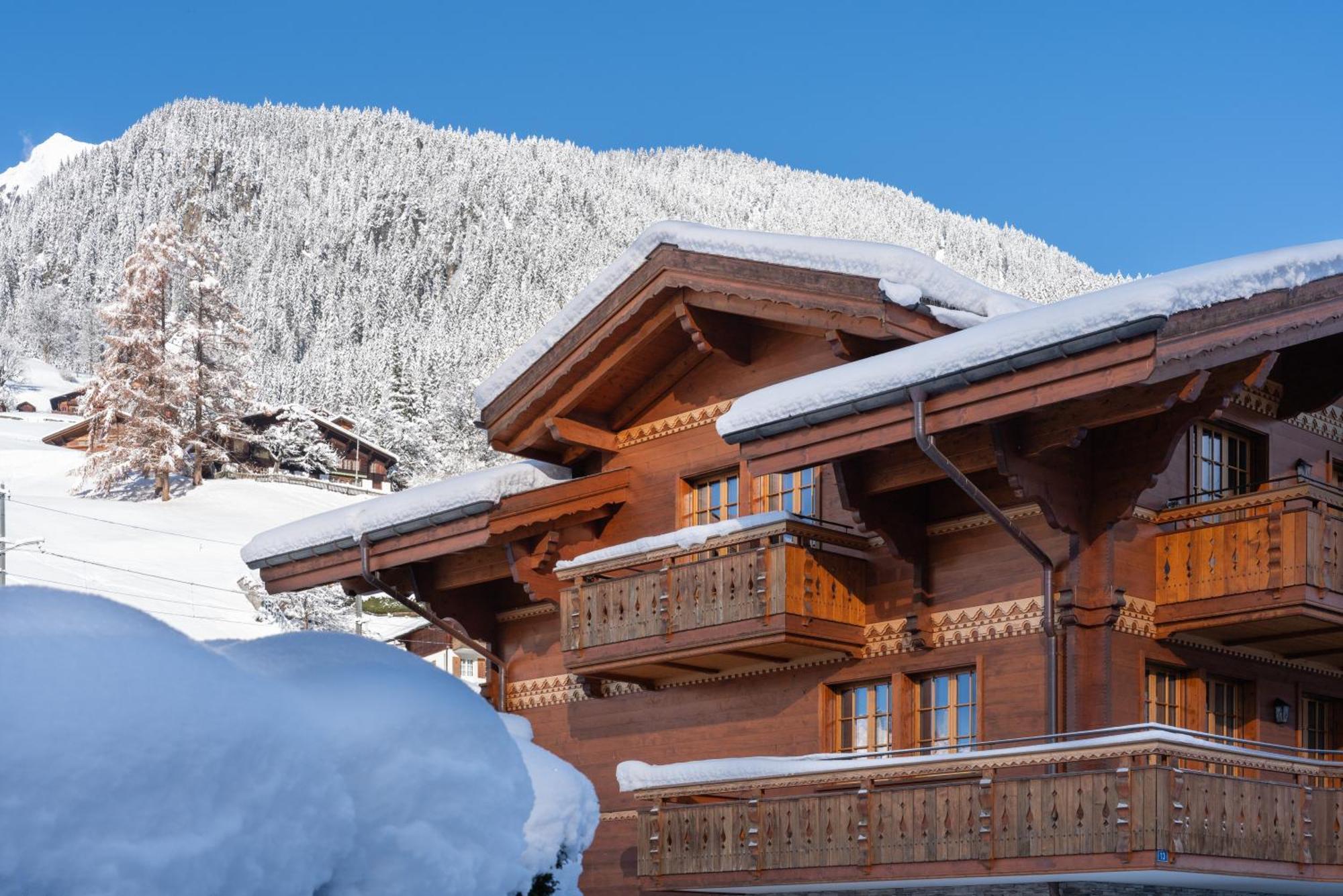 Chalet Alia And Apartments-Grindelwald By Swiss Hotel Apartments Luaran gambar