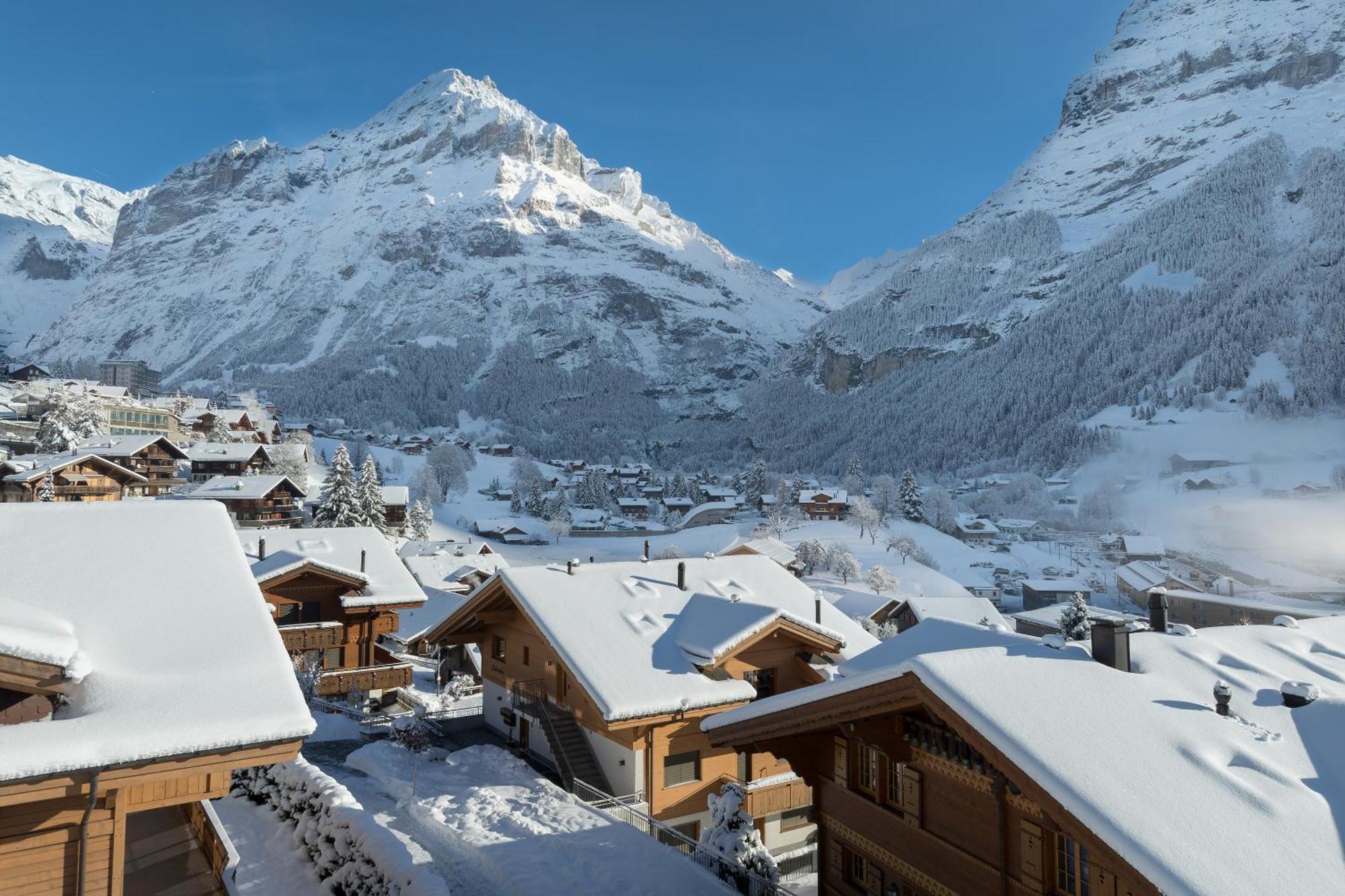 Chalet Alia And Apartments-Grindelwald By Swiss Hotel Apartments Luaran gambar